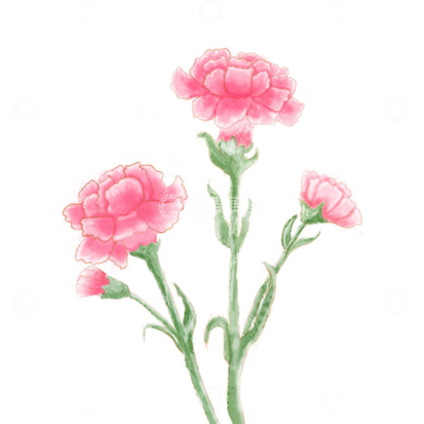 源文件下载【趣麦麦图】手绘水彩小清新送妈妈老师康乃馨素材