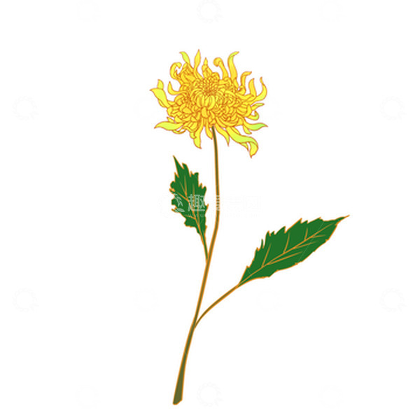 源文件下载【趣麦麦图】手绘国潮黄色菊花中元节中秋节秋天