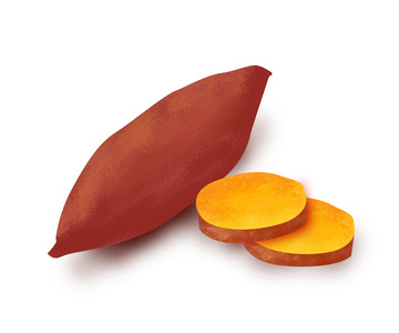 红色食物红薯地瓜手绘