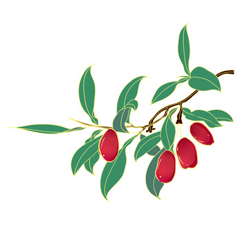 手绘小清新红枣大枣水果元素