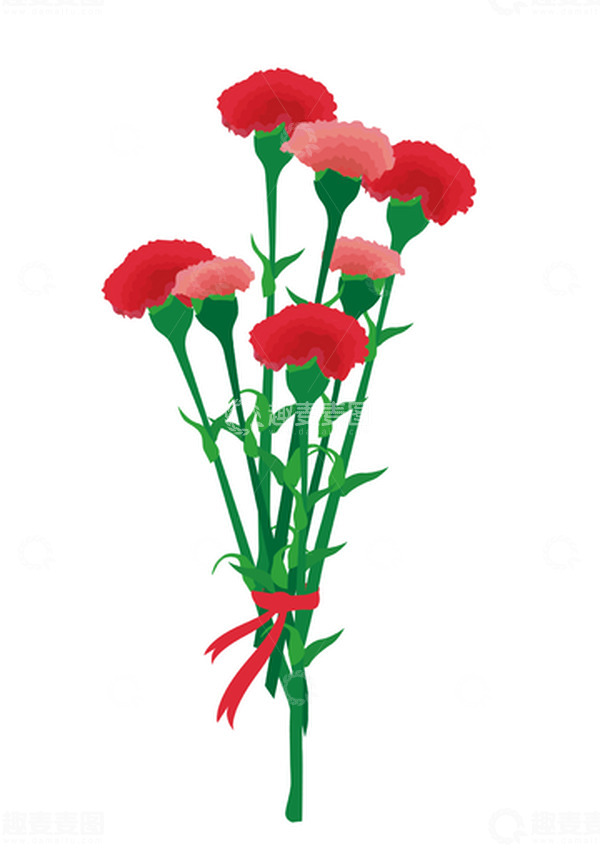 源文件下载【趣麦麦图】教师节红色康乃馨矢量手绘