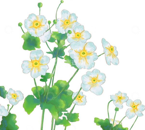源文件下载【趣麦麦图】小清新白色小花手绘元素