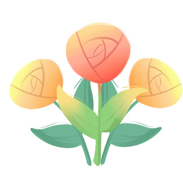 红黄色的玫瑰花束手绘图