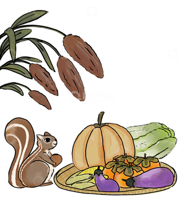 源文件下载【趣麦麦图】水彩复古秋天农作物高粱松鼠