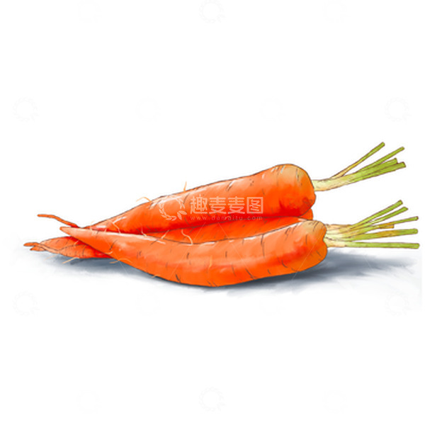 源文件下载【趣麦麦图】红色水彩果蔬胡萝卜手绘图