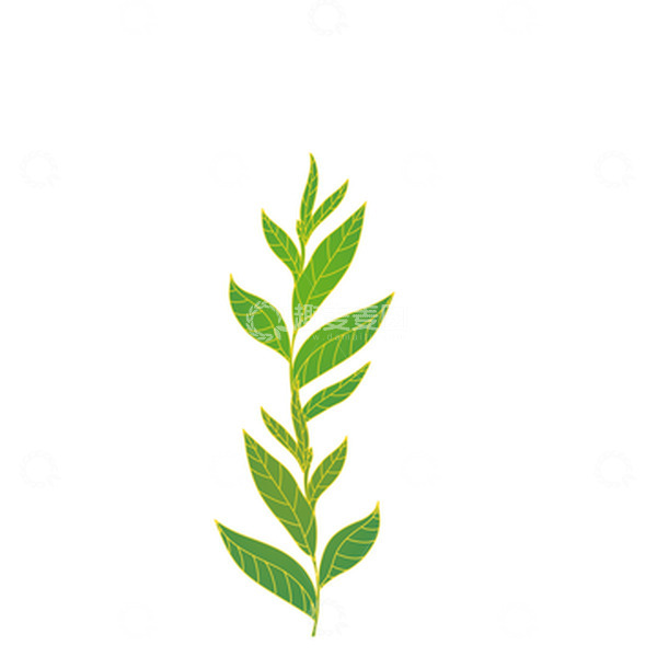 源文件下载【趣麦麦图】手绘小清新植物绿茶茶叶茶树