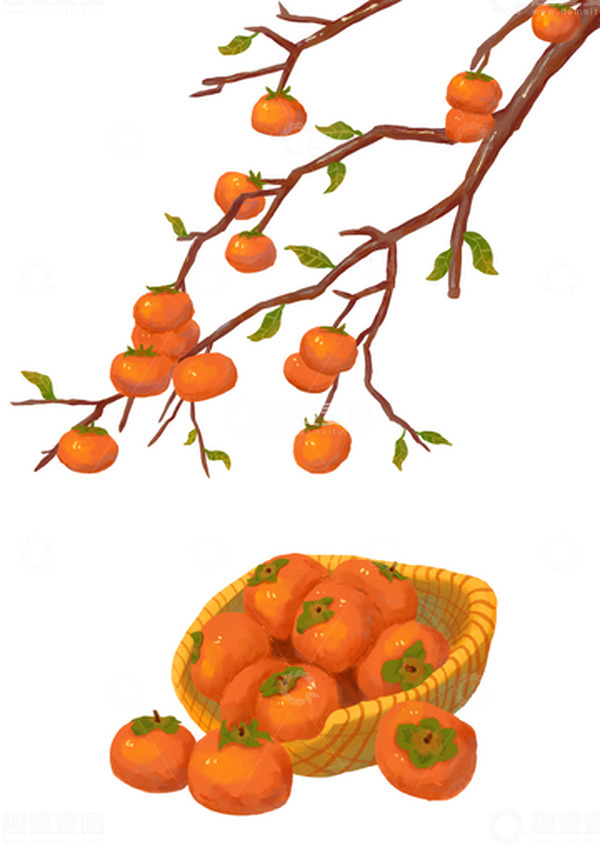 源文件下载【趣麦麦图】-秋季柿子秋天节气氛围元素