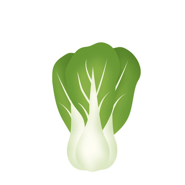 绿色小白菜青菜蔬菜简约素材