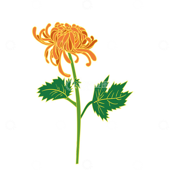 源文件下载【趣麦麦图】手绘菊花元素中秋节中元节秋天
