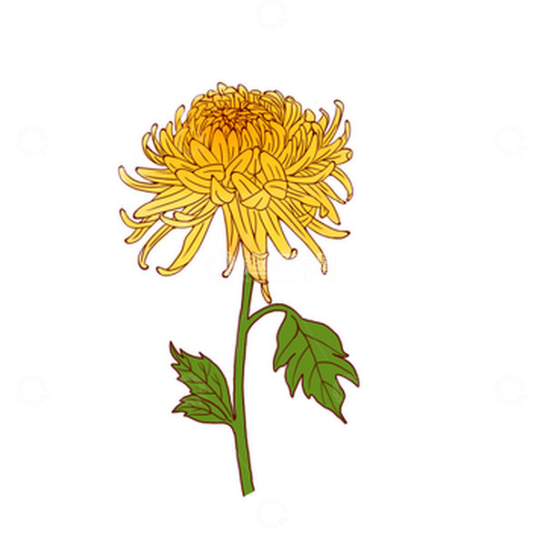 源文件下载【趣麦麦图】-手绘中秋元素菊花秋天金球奖中元节