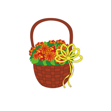 春天的鲜花花篮