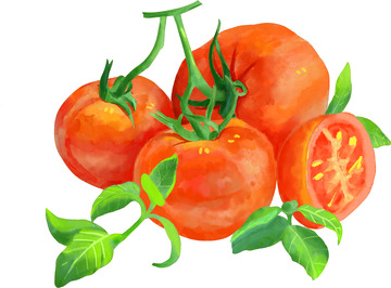 新鲜西红柿蔬菜手绘元素
