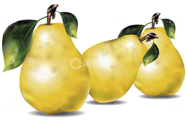 源文件下载【趣麦麦图】高清矢量夏季写实梨