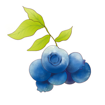 水果蓝莓插画元素