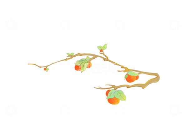源文件下载【趣麦麦图】中秋柿子树手绘插画