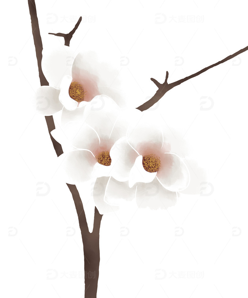 源文件下载【趣麦麦图】白色清新淡雅玉兰花花枝手绘