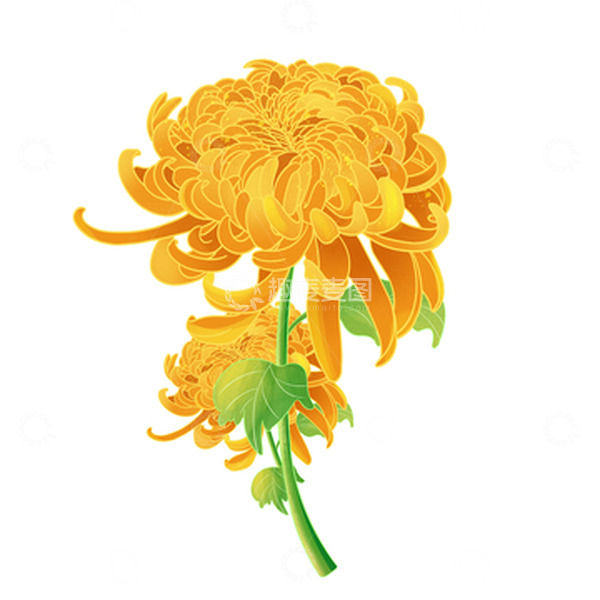 源文件下载【趣麦麦图】中秋节国潮中国风菊花元素