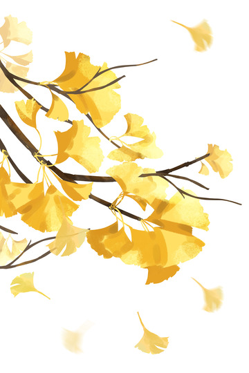 手绘秋季立秋银杏花植物素材