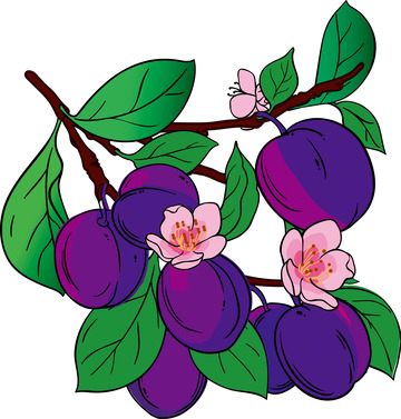 紫色手绘风格一串西梅