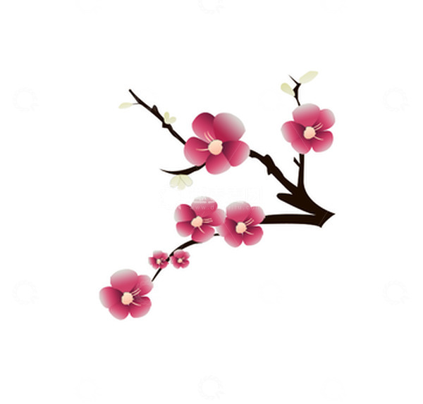 源文件下载【趣麦麦图】手绘梅花植物树枝免扣元素