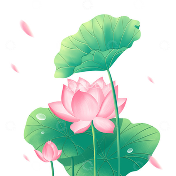 源文件下载【趣麦麦图】夏天处暑荷花荷叶元素
