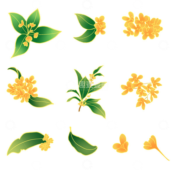 源文件下载【趣麦麦图】金色国潮风桂花中秋手绘图