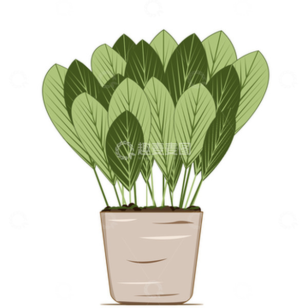 源文件下载【趣麦麦图】绿色插画盆栽叶子