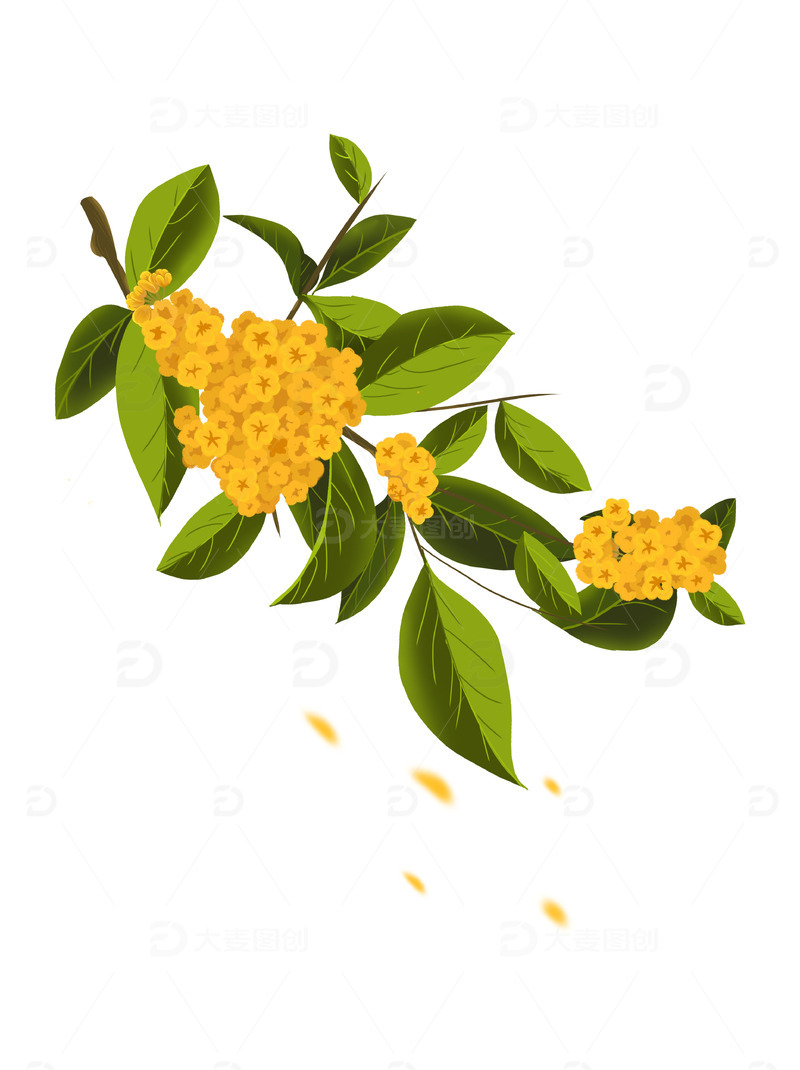 源文件下载【趣麦麦图】桂花小清新树木卡通风格中秋桂树元素