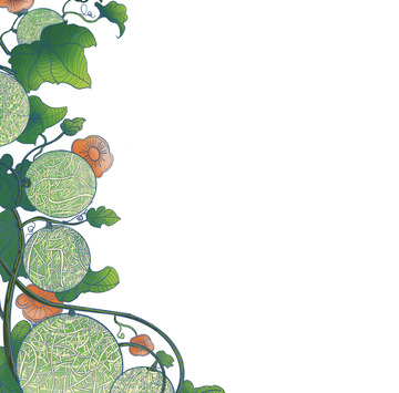 绿色手绘新疆哈密瓜元素