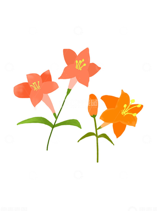 源文件下载【趣麦麦图】彩色小清新百合花卡通透明免抠