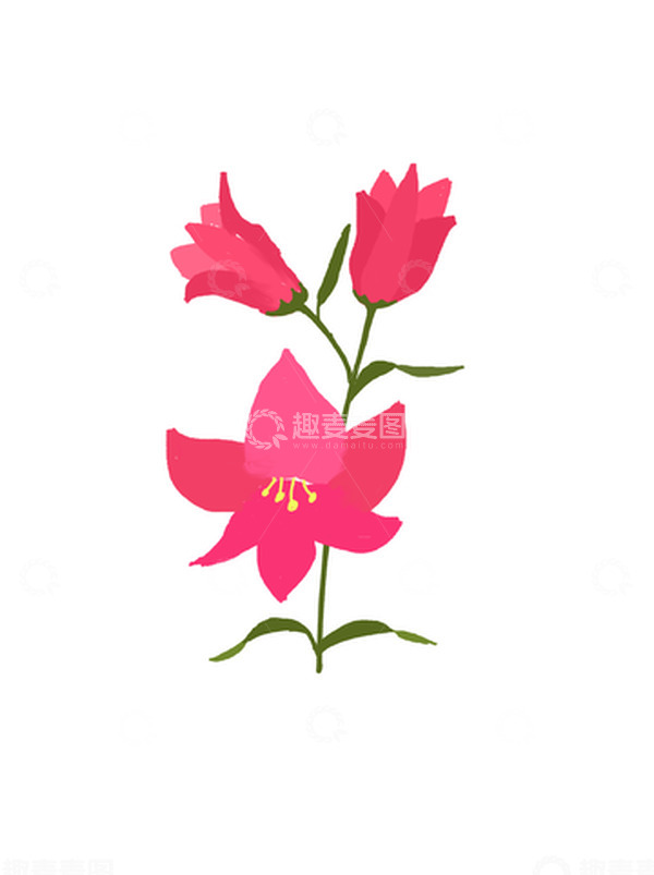 源文件下载【趣麦麦图】彩色小清新百合花卡通透明