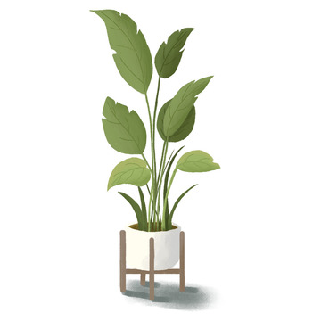 绿色小清新手绘盆栽绿植