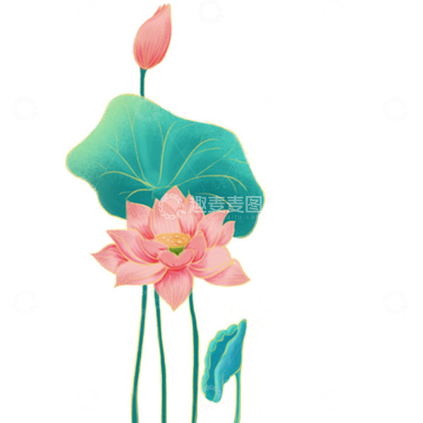 源文件下载【趣麦麦图】手绘荷花国潮荷花夏日元素