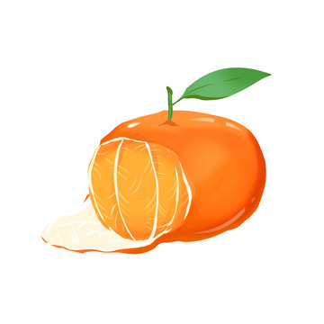 手绘写实水果橘子桔子中秋秋天元素