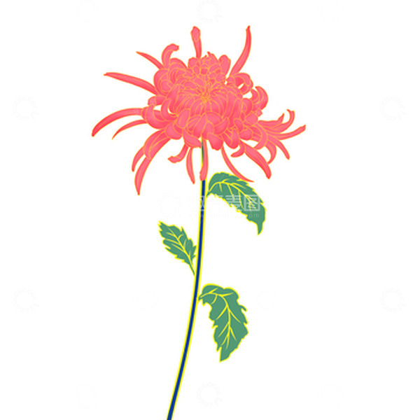 源文件下载【趣麦麦图】-手绘国潮花卉菊花中秋秋天元素