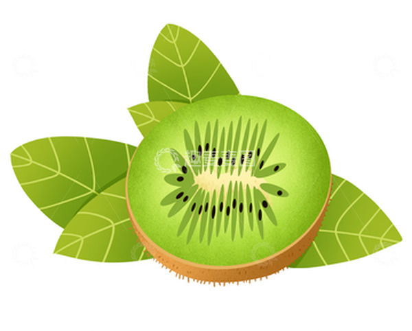 源文件下载【趣麦麦图】手绘猕猴桃奇异果绿色水果免扣元素