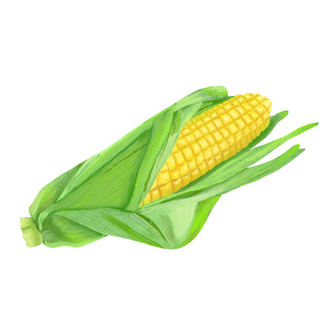 玉米手绘蔬菜手绘元素