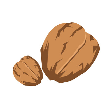 手绘核桃干果卡通插画免抠元素