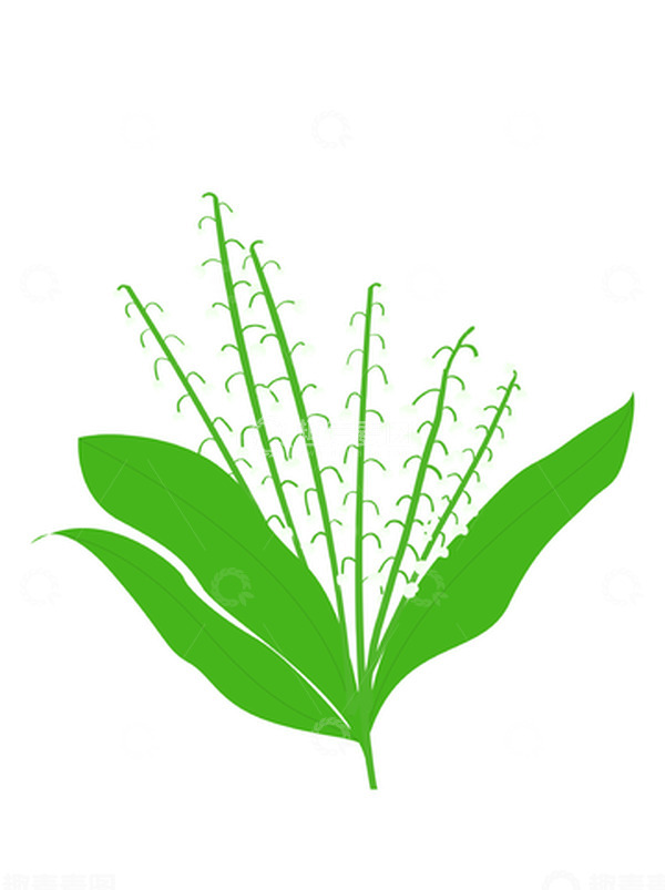 源文件下载【趣麦麦图】鲜花婚礼礼花铃兰花束楚天装饰