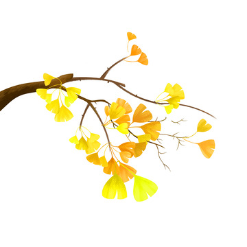 手绘小清新植物银杏树秋天中秋元素