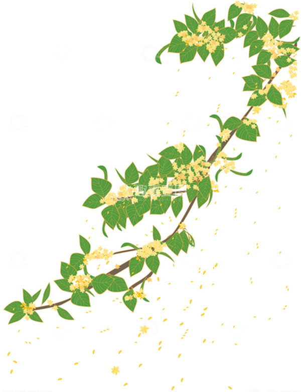 源文件下载【趣麦麦图】-桂花插画秋天