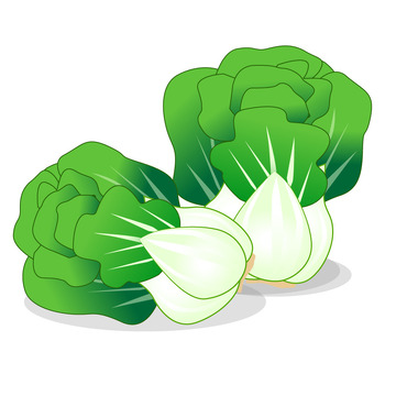 绿色小清新可爱白菜手绘矢量素材