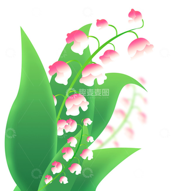 源文件下载【趣麦麦图】小清新绿色铃兰花装饰手绘植物