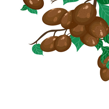 卡通手绘猕猴桃