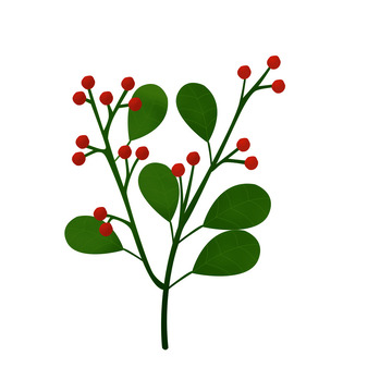 小清新秋天红果花枝植物素材