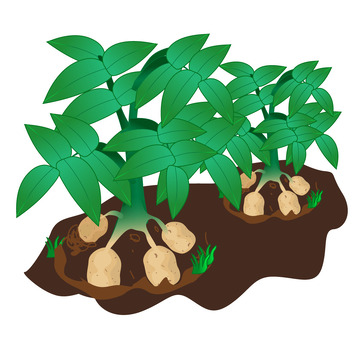 绿色创意手绘土豆植物整株矢量素材