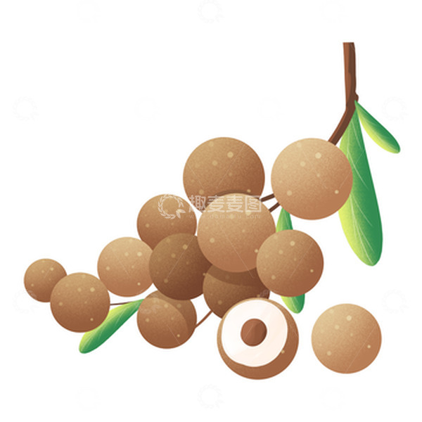 夏季新鲜好吃的水果龙眼夏天