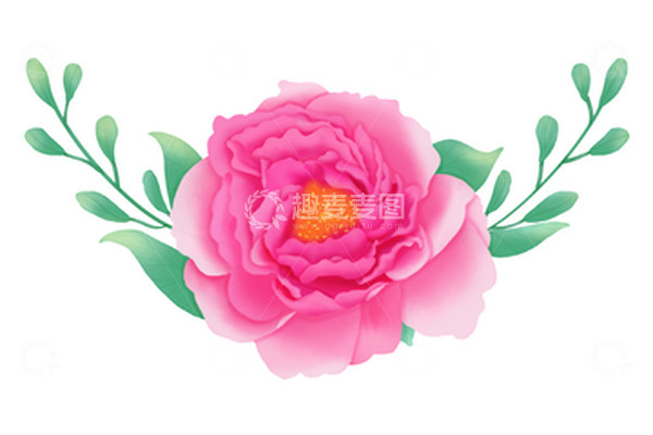 源文件下载【趣麦麦图】粉色水彩手绘牡丹花请柬花卉婚庆中秋节素材