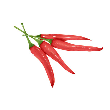 红色小米辣椒蔬菜水彩手绘元素