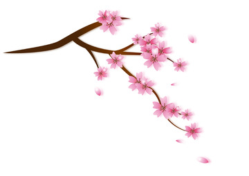 中国风粉红色矢量桃花插画